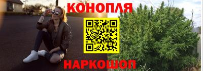 шишки Пыть-Ях